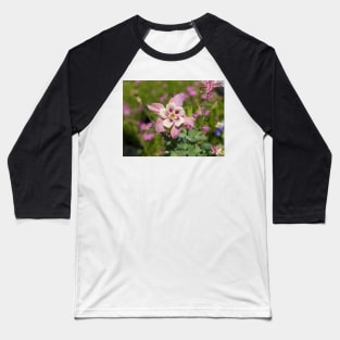 Columbine in Meadow Baseball T-Shirt